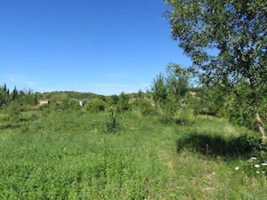 Les jardins de Jonquières